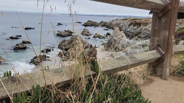 California Ground Squirrel Eating Along Coastal Fence Rail and Looking Out to Sea, Pacific Grove Beach