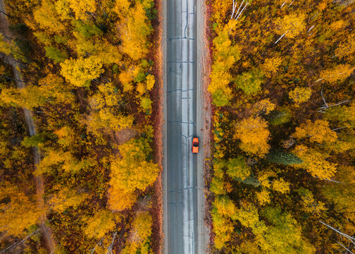 Aerial view of a road winding through a dense forest with vibrant yellow and orange autumn foliage, with a single orange car driving along the asphalt in Willow, Alaska, United States.