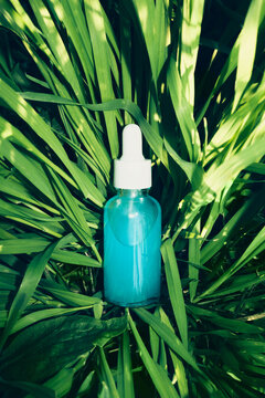 Blue serum dropper bottle surrounded by lush green grass