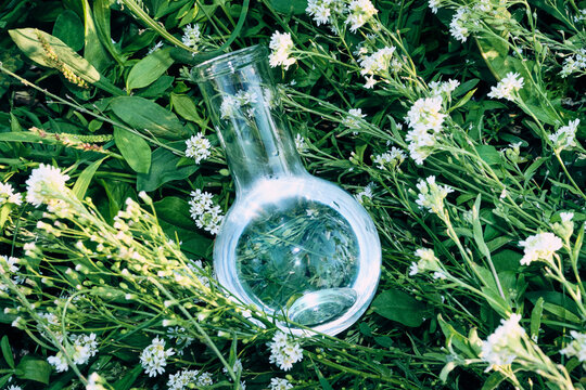 Botanical serum in glass laboratory flask surrounded by wildflowers
