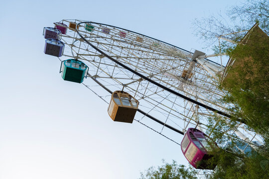 Colorful Ferris Wheel Cabins Against Blue Sky with Tropical Trees