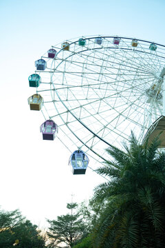 Colorful Ferris Wheel Against Bright Sky with Tropical Palm Trees