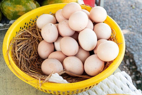 Fresh Chicken Eggs in Straw Nest Basket at Local Market
