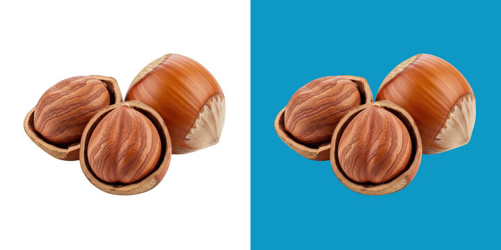 Two hazelnuts close-up on a neutral background