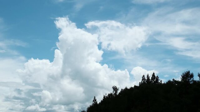 木々のシルエットと雲が広がる青空