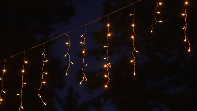 Warm icicle string lights shine against dark nighttime forest background, forming a diagonal curtain of golden points that creates a cozy decorative atmosphere at a forest campsite