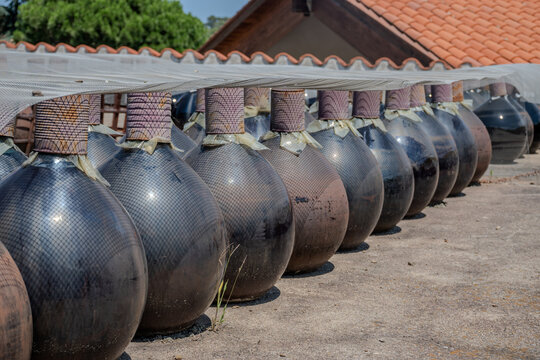 Sunbaked sweet Banyuls fortified wine in traditional demijohns bonbonnes glass jars, Roussillon, French Catalonia, Grenache and Muscat grapes, oxidative sun aging