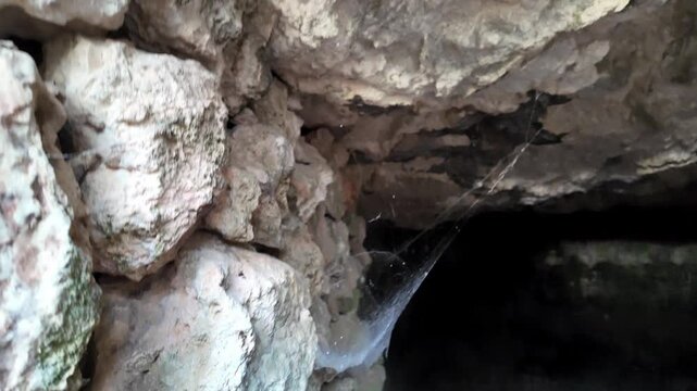 Spider web hangs from cave rocks. Dark entrance looms beneath ancient stone. Tiny, fragile threads glisten in dim light. Nature's quiet art hides in hidden crevices