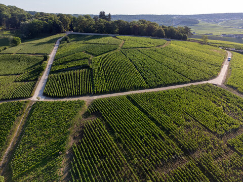 Aerial view, Cumieres and Hautvillers champagne vineyards in Marne Valley with rolling green hills, chalk terroir, summer landscape, traditional methode champenoise production.