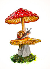 Snail on Mushroom with Red Toadstools – Hand Drawn Nature Illustration © Raquel
