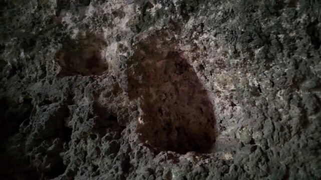 Malta, Xemxija Heritage trail, Punic caves interior. Holes in the walls used as shelfs and to tie animals.