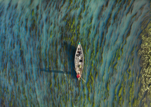 Aerial view of a small wooden boat with a person in a red shirt navigating through calm water filled with aquatic vegetation in Sirajganj, Rajshahi Division, Bangladesh.
