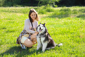 Young woman crouching and petting a happy siberian husky dog in a sunny green park during summer, the woman is smiling and the dog has its tongue out, appearing happy and content © Pixel-Shot