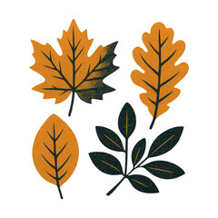 Naklejka premium PNG Vintage autumn leaves illustration.