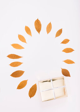 Autumn Leaf Circle Frame