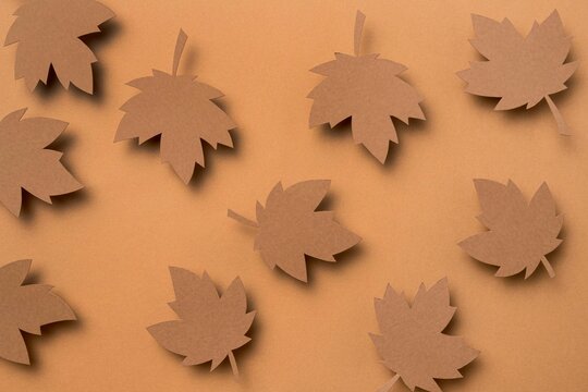 Autumn Maple Leaf Pattern