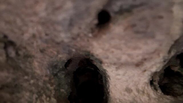 Malta, Xemxija Heritage trail, Punic caves. Dark, ancient cave walls with small, irregular holes. White powder coats uneven surfaces, hinting at age and erosion. Dusty textures reveal hidden history b