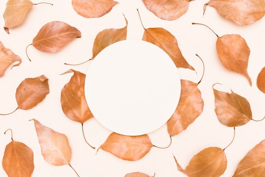 Autumn Leaf Circle Frame Background