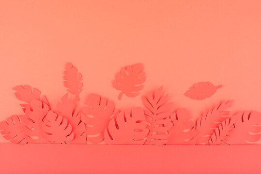 Coral Botanical Shadow Background