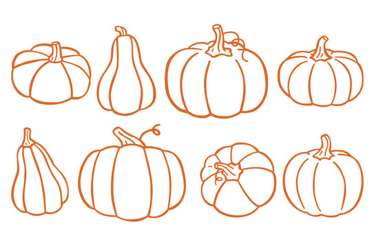 Vector collection of assorted pumpkins in varied shapes and warm autumn colors, featuring decorative gourds for harvest, Halloween, Thanksgiving, seasonal crafts and festive designs.