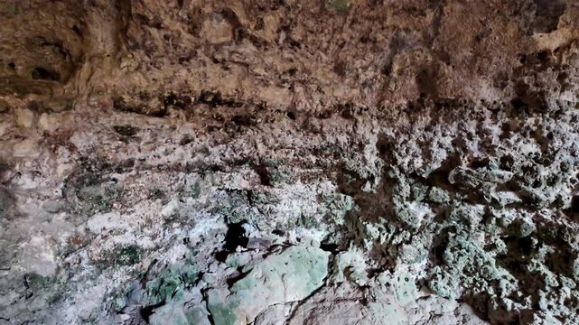 Ancient cave walls show weathered textures and mineral growths. Greenish patches suggest damp, slow-evolving microbial life. Cavern ceiling reveals natural erosion over centuries