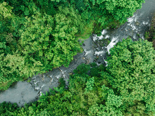 Fototapeta premium An aerial shot of a flowing stream winding through dense green forest terrain.