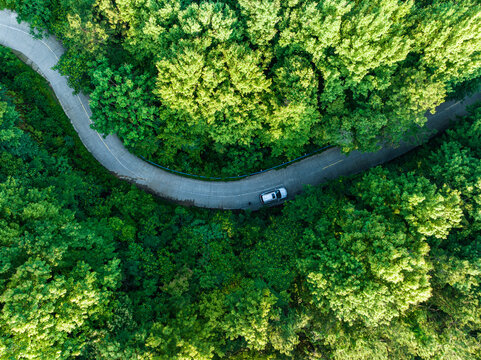 Aerial top-down view of a winding asphalt road cutting through a dense, lush green forest with a small car traveling on it.