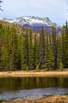 lake in the forest with snow capped mountain