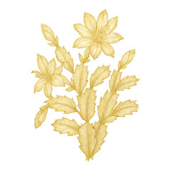 Naklejka premium PNG Golden floral botanical illustration