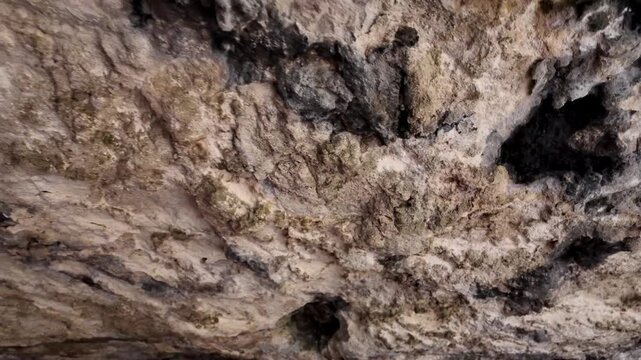 Malta, Xemxija Heritage trail, Punic caves interior. Holes in the ceiling used to tie something.