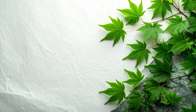 Fresh green maple leaves on traditional washi paper background texture for design use 3