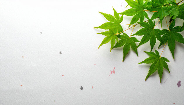 Minimal japanese modern maple leaf washi paper background texture for design use 3