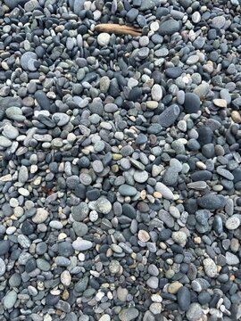 Top-down view of smooth grey beach pebbles and small stones on a coastal shore. A textured natural background pattern of river rock, gravel, and sea stones.