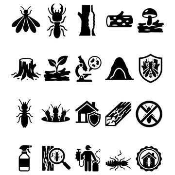 Termite Pest Control and Wood Damage Inspection Vector Silhouette Icons Set