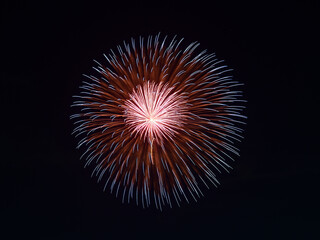 Fototapeta premium 夏の夜空を彩る花火