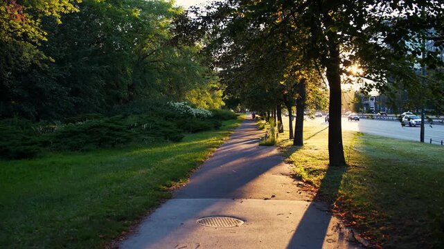 Wide shot at sunset featuring a slow forward camera movement along a narrow asphalt bike path in the center, with cars driving on a street to the right and vivid golden sunlight beaming through the ro