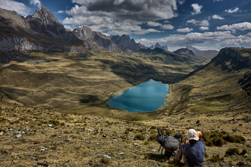 Fototapeta premium An awe-inspiring aerial view captures Mitucocha Lagoon nestled deep within the Cordillera Huayhuash, its brilliant turquoise waters standing out dramatically against the rugged green valley floor