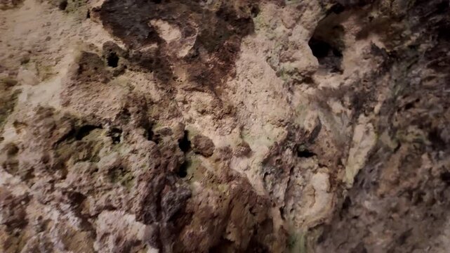 Rugged cave walls feature mossy textures and a dark opening. Earth tones dominate the scene, with moisture and algae visible. Natural cave entrance invites exploration or research