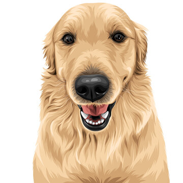 Cute Dog portrait vector illustration on transparent background