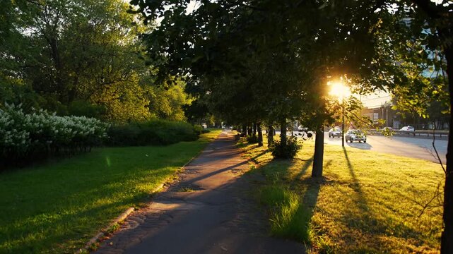 Wide shot at sunset featuring a slow forward camera movement along a narrow asphalt bike path in the center, with cars driving on a street to the right and vivid golden sunlight beaming through the ro