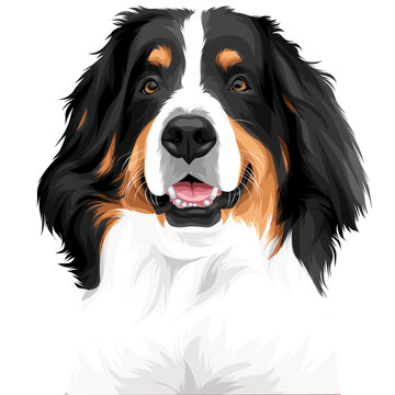 Cute Dog portrait vector illustration on transparent background