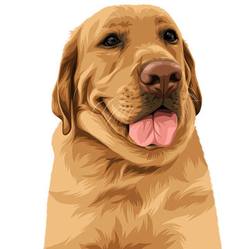 Cute Dog portrait vector illustration on transparent background