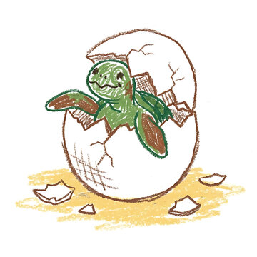 Cute baby sea turtle hatching from cracked egg shell sketch illustration isolated on white background