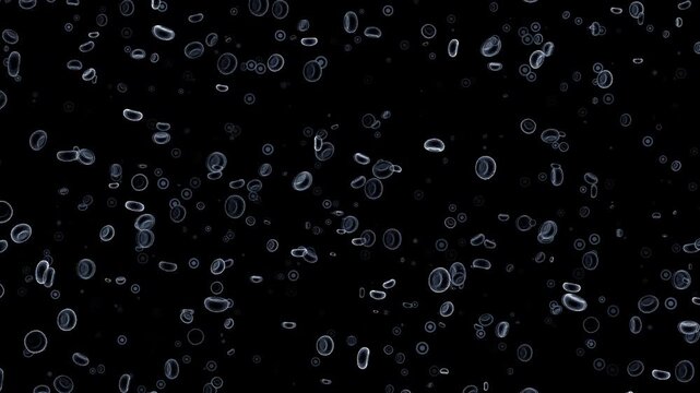 Red blood cells and platelets: medical dynamic video materials
