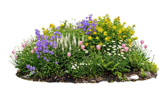 Colorful flower garden on a transparent background
