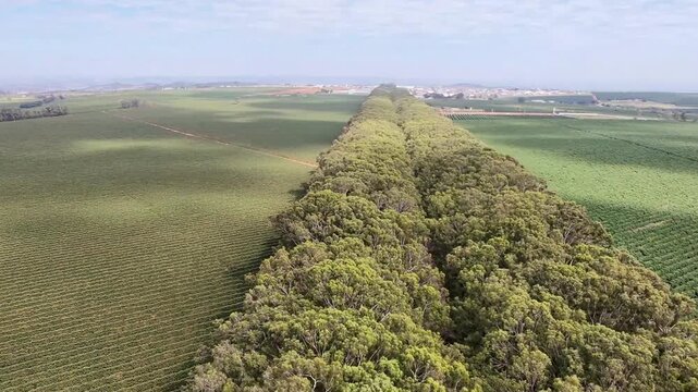 Vista a&eacute;rea trevo BR-354 entrada em Carmo do Parana&iacute;ba, Minas Gerais