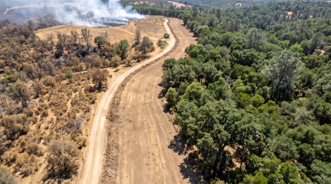 Maintained firebreak separating vegetation to reduce the spread of wildfire, illustrating forest management, disaster prevention, environmental protection, and wildfire risk reduction
