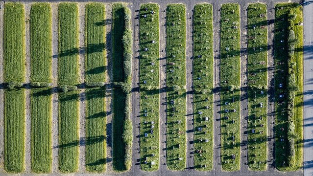 Aerial view of Gufunes Cemetery featuring organized rows of gravestones set within green grass strips and long shadows in Reykjavik, Reykjavikurborg, Iceland.