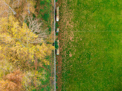 Aerial view of a soccer field edge with vibrant autumn trees and fallen leaves scattered across the green grass in Belgrade, Serbia.