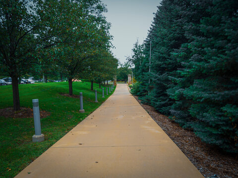 Scenic outdoor perspective of a paved concrete pedestrian walkway lined with lush green trees and modern pathway lights in a park